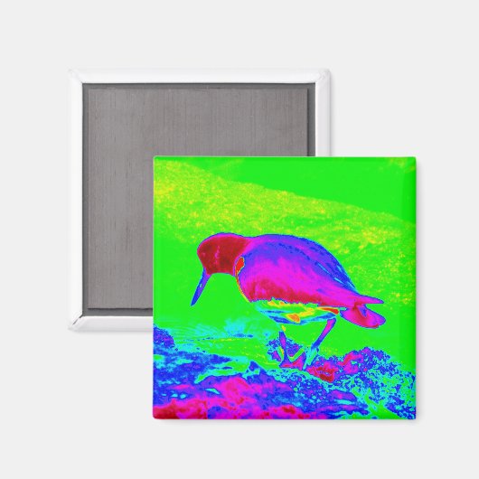 Oyster Catcher Magneet (Voorkant / Achterkant)