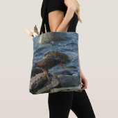Oyster catcher tote bag (Dichtbij)
