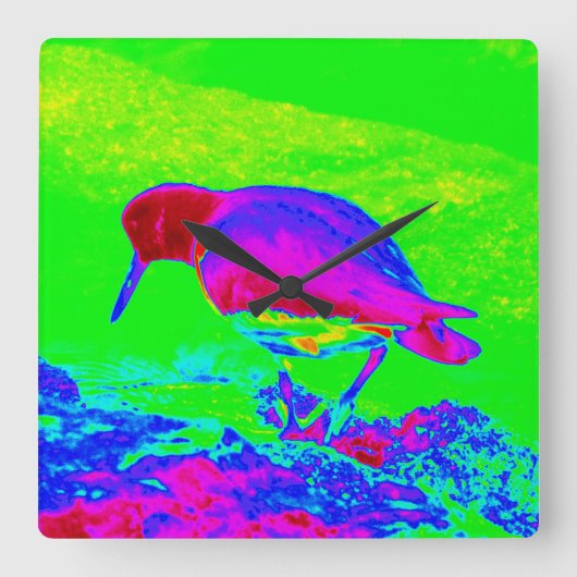 Oyster Catcher Vierkante Klok (Voorkant)