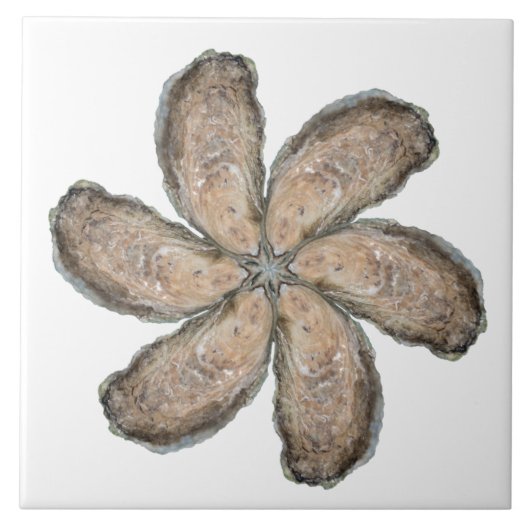 Oyster Flower Tile - Design D White Tegeltje (Voorkant)