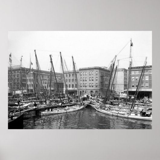 Oyster Luggers Poster (Voorkant)