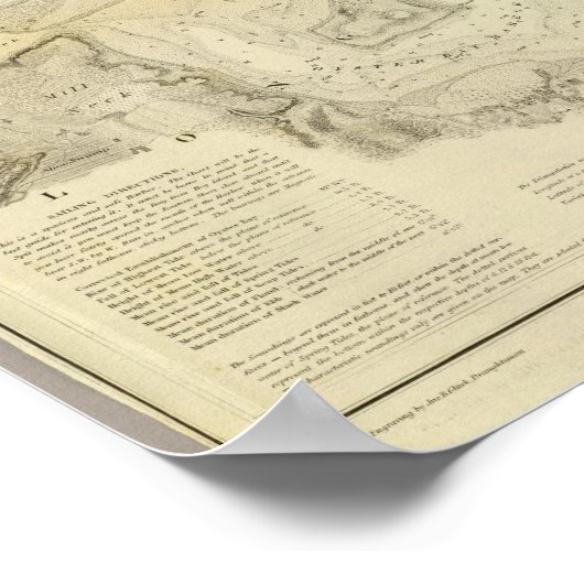 Oyster of Syosset Bay Poster (Hoek)