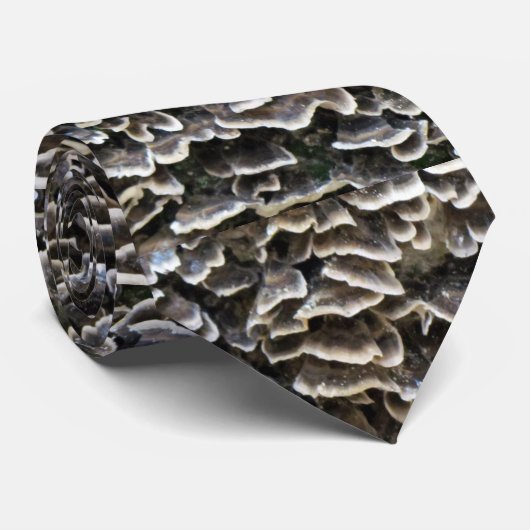 Oyster paddenstoel Stropdas (Opgerold)