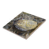 Oyster schelp tegeltje (Zijkant)