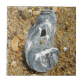 Oyster Shell in Pebble Sand Tegeltje (Voorkant)