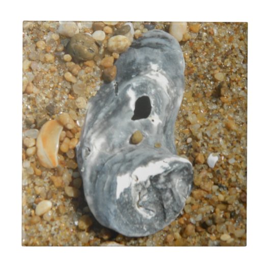 Oyster Shell in Pebble Sand Tegeltje (Voorkant)