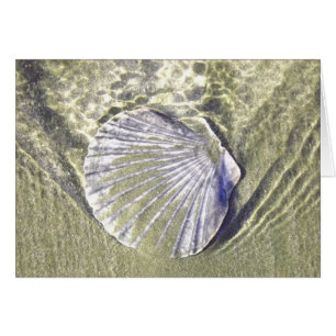 Oyster Shell Underwater