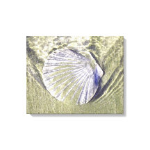 Oyster Shell Underwater