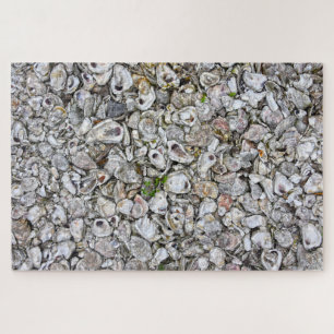 Oyster Shells, Apalachicola, Florida Legpuzzel