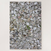 Oyster Shells, Apalachicola, Florida Legpuzzel (Verticaal)