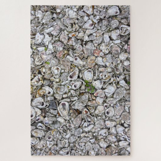 Oyster Shells, Apalachicola, Florida Legpuzzel (Verticaal)