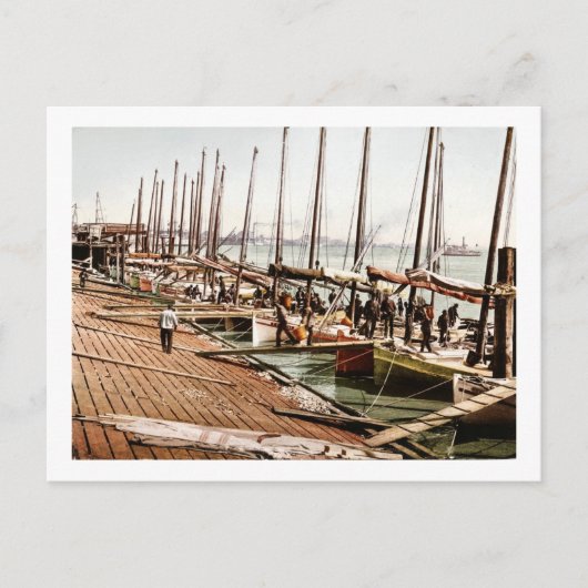 Oyster Smacks bij de Levee New Orleans 1900 Briefkaart (Voorkant)