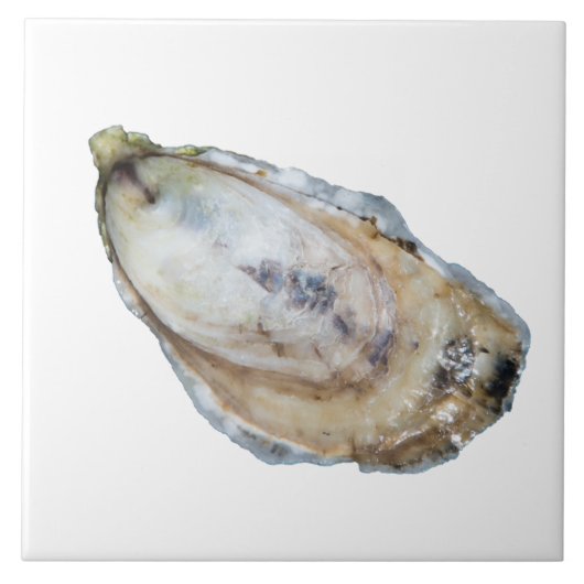 Oyster Tile - Design A White Tegeltje (Voorkant)