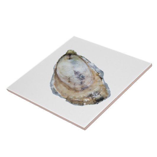 Oyster Tile - Design A White Tegeltje (Zijkant)