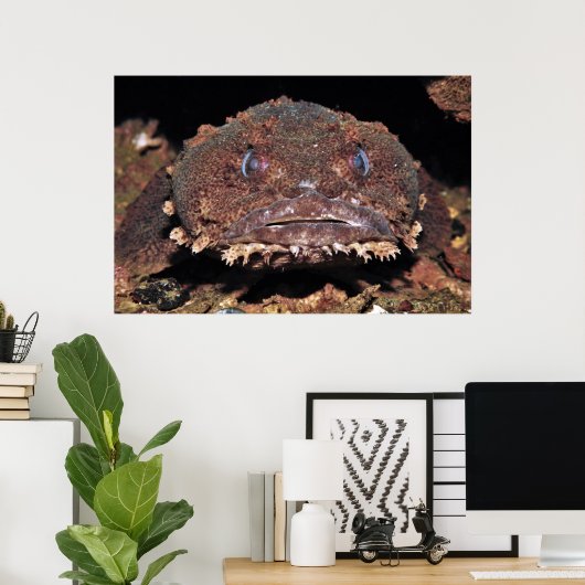 Oyster Toad Portrait Poster (Thuiskantoor)