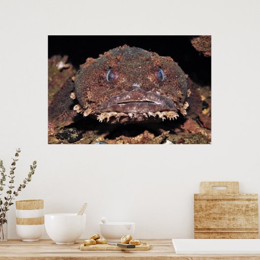 Oyster Toad Portrait Poster (Keuken)