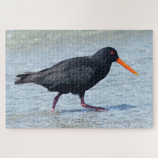 OYSTERCATCHER 20x30 INCH Legpuzzel (Horizontaal)