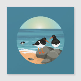 Oystercatcher aan de kust