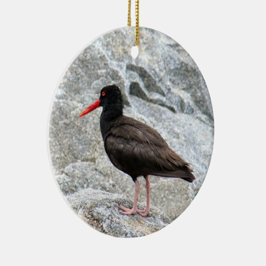 Oystercatcher Keramisch Ornament (Rechts)