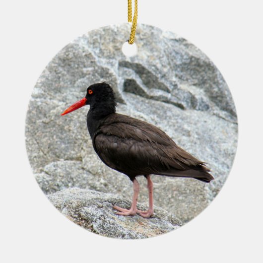 Oystercatcher Keramisch Ornament (Voorkant)