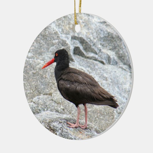 Oystercatcher Keramisch Ornament (Links)