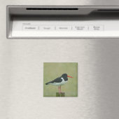 Oystercatcher Magnet (Insitu (Vaatwasser))