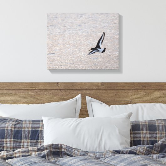 Oystercatcher op de Wing Canvas Afdruk (Insitu (Slaapkamer))