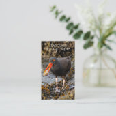 Oystercatcher Vogelspotten / Natuur Tours Visitekaartje (Staand voorkant)