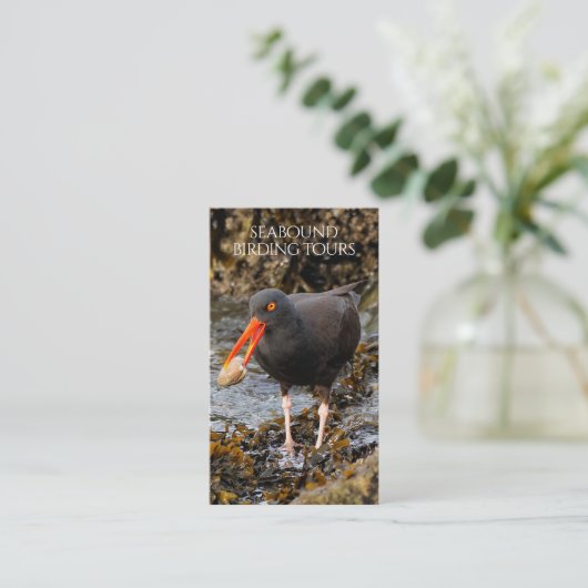 Oystercatcher Vogelspotten / Natuur Tours Visitekaartje (Staand voorkant)