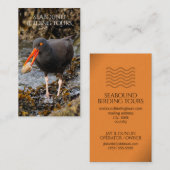 Oystercatcher Vogelspotten / Natuur Tours Visitekaartje (Voorkant / Achterkant)