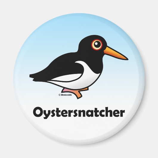 Oystersnatcher Magneet (Voorkant)