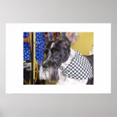 Oz Poster (Voorkant)