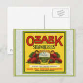 Ozark aardbeien briefkaart (Voorkant / Achterkant)