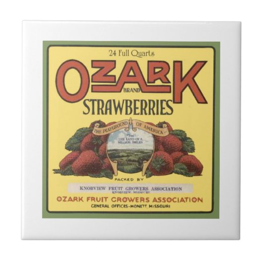 Ozark aardbeien tegeltje (Voorkant)