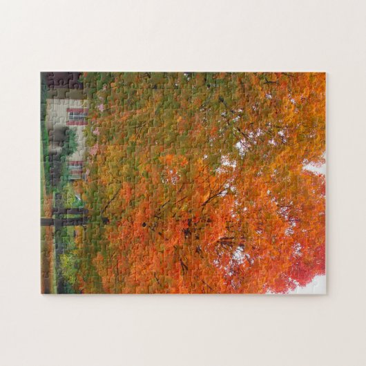 Ozark Arkansas. Legpuzzel (Horizontaal)