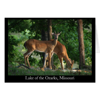 Ozark Deer (titel)