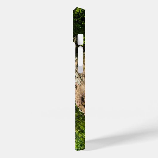 Ozark National Forest Cliff Uitzicht Case-Mate iPhone Case (Achterkant / Links)