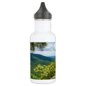 Ozark National Forest Cliff Uitzicht Stainless Ste Waterfles (Links)