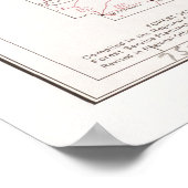 Ozark National Forest Map (1972) Arkansas Woodland Poster (Hoek)