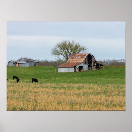 Ozark Old Boerderij Poster (Voorkant)