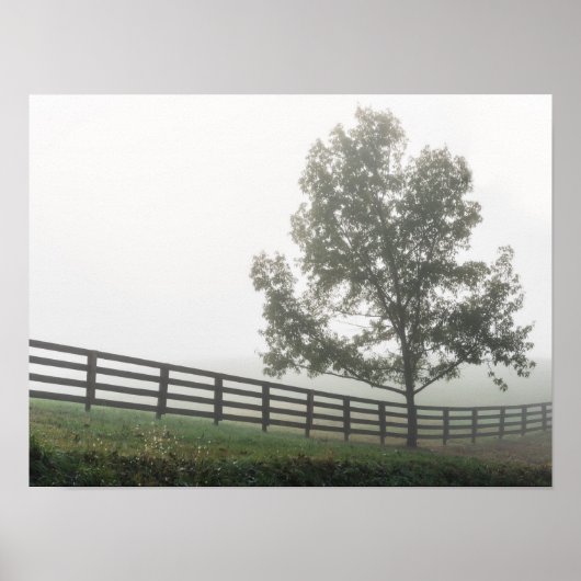 Ozarks Country Fog Poster (Voorkant)