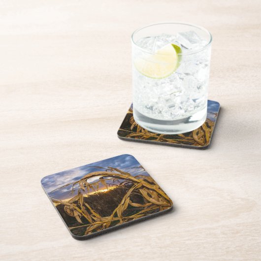 Ozarks Harvest Drankjes Onderzetter (Rechterzijde)