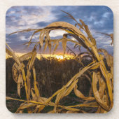 Ozarks Harvest Drankjes Onderzetter (Voorkant)