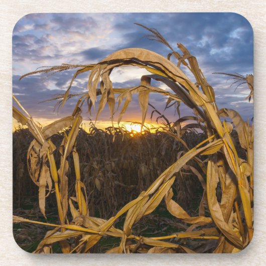 Ozarks Harvest Drankjes Onderzetter (Voorkant)