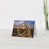 Ozarks Harvest Harvest Bedankt (Voorkant)