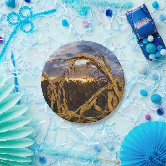 Ozarks Harvest Papieren Bordje (Feest)