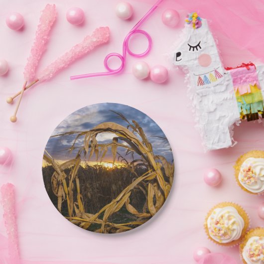 Ozarks Harvest Papieren Bordje (Feest)