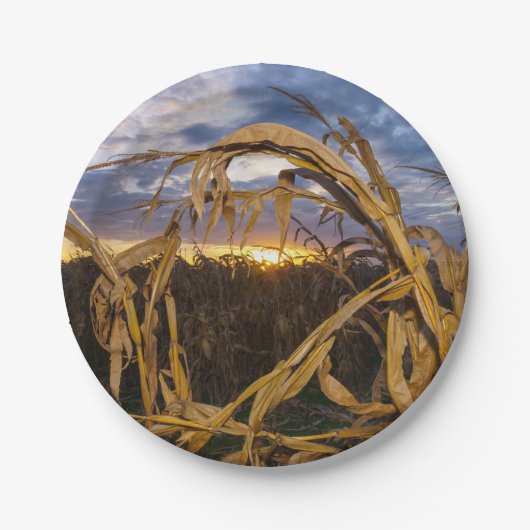 Ozarks Harvest Papieren Bordje (Voorkant)