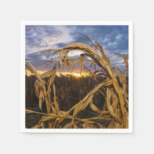 Ozarks Harvest Servetten (Voorkant)