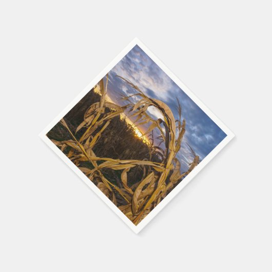 Ozarks Harvest Servetten (Hoek)